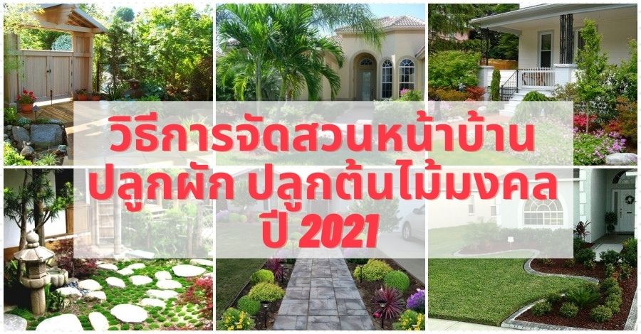 วิธีการจัดสวนหน้าบ้าน ปลูกผัก ปลูกต้นไม้มงคล ปี 2021